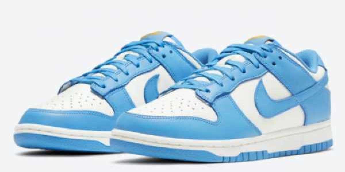 Most Popular Ladies Nike Dunk Sneakers For Sale