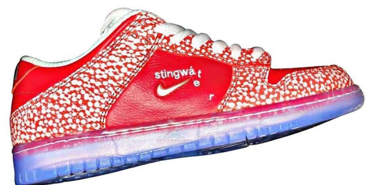 Newest 2021 Stingwater x Nike SB Dunk Low Skateboard Shoes