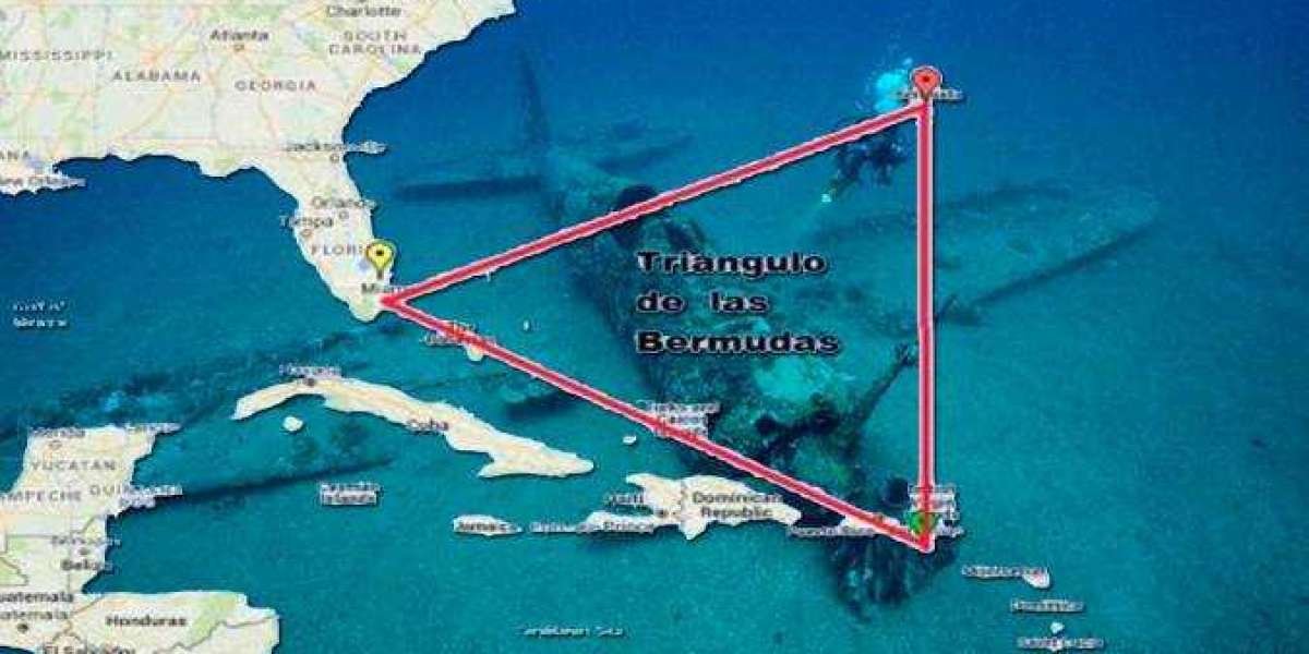 El Triángulo de las Bermudas (libro)