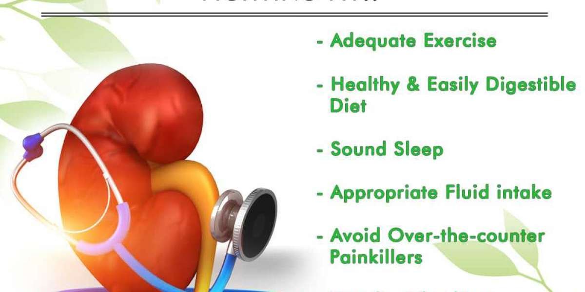 How to Get the Best Ayurvedic Kidney Treatment in New York USA