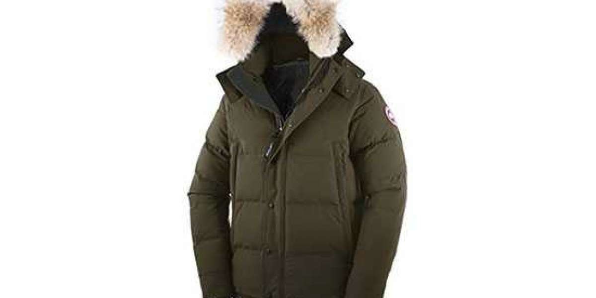 Canada Goose Coat only