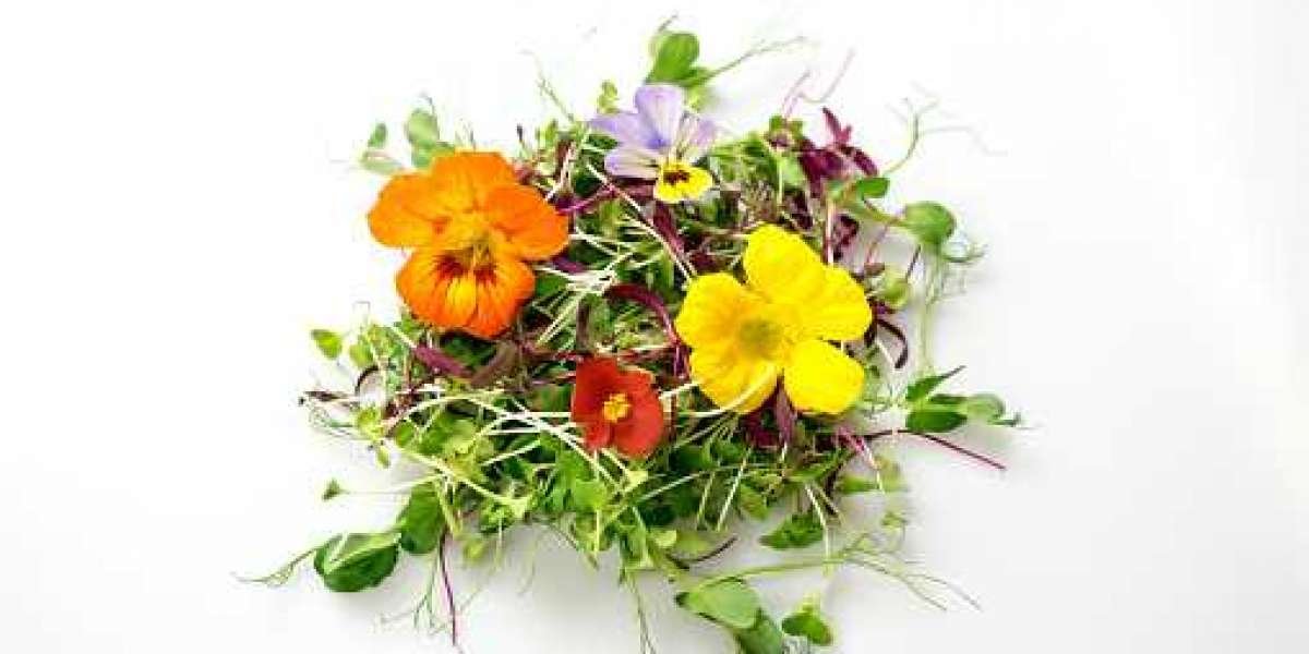 Eating Flowers Market Forecast, Share, Trend, Business Prospect, Geographical Overview