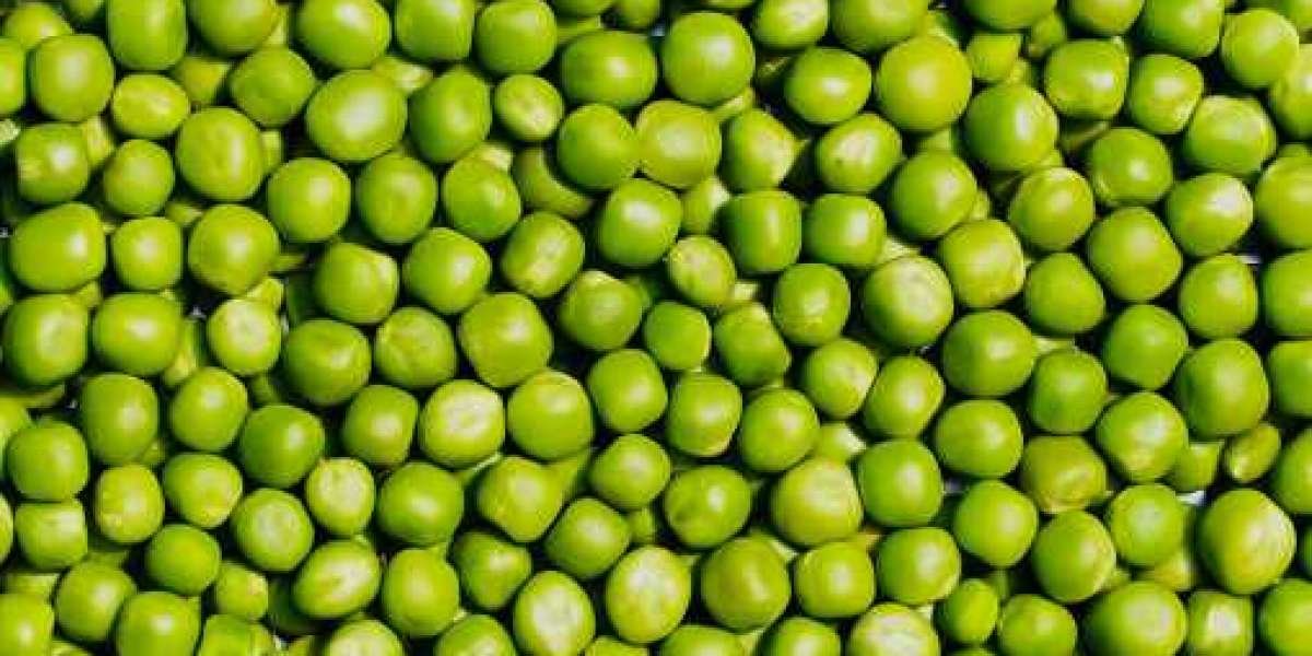 Pea Starch Market Share, Product Category, Growth, Key Player, Regional Outlook with Forecast